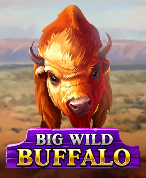 Play Big Wild Buffalo at Huikee Casino